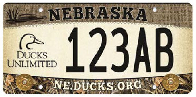 Ducks